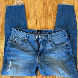 Blue distressed jeans- brand just black size 27